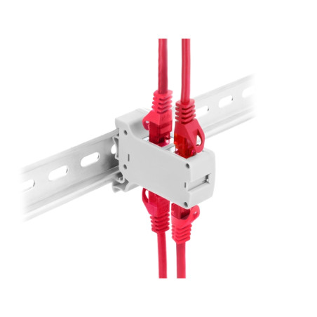 Delock RJ45 Kupplung Cat.6A Dual Buchse zu Buchse für Hutschienen Montage grau