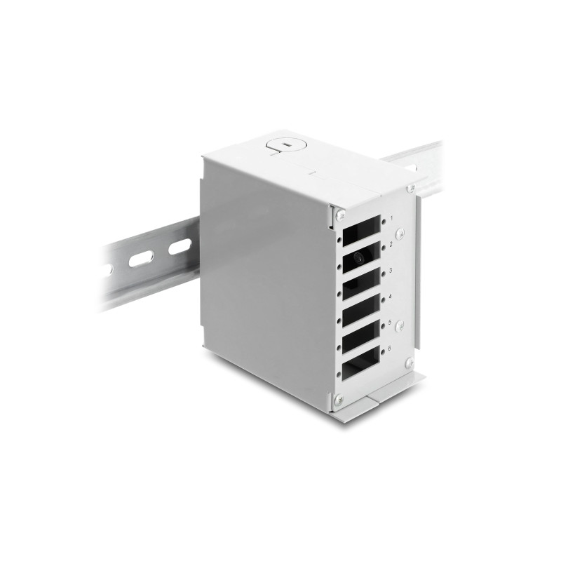 Delock LWL Patchfeld 6 Port für SC Duplex oder LC Quad grau Metall zur Hutschienen Montage