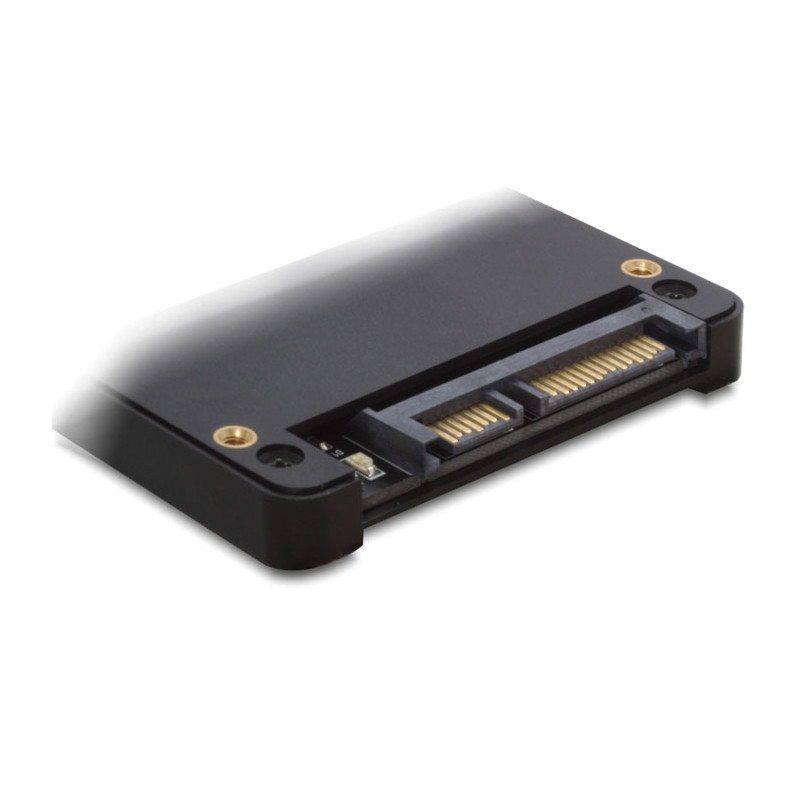Delock 2.5″ Card Reader SATA - Secure Digital Card
