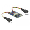 Delock Mini PCIe I/O full size 2 x USB 2.0 Typ-A Buchse