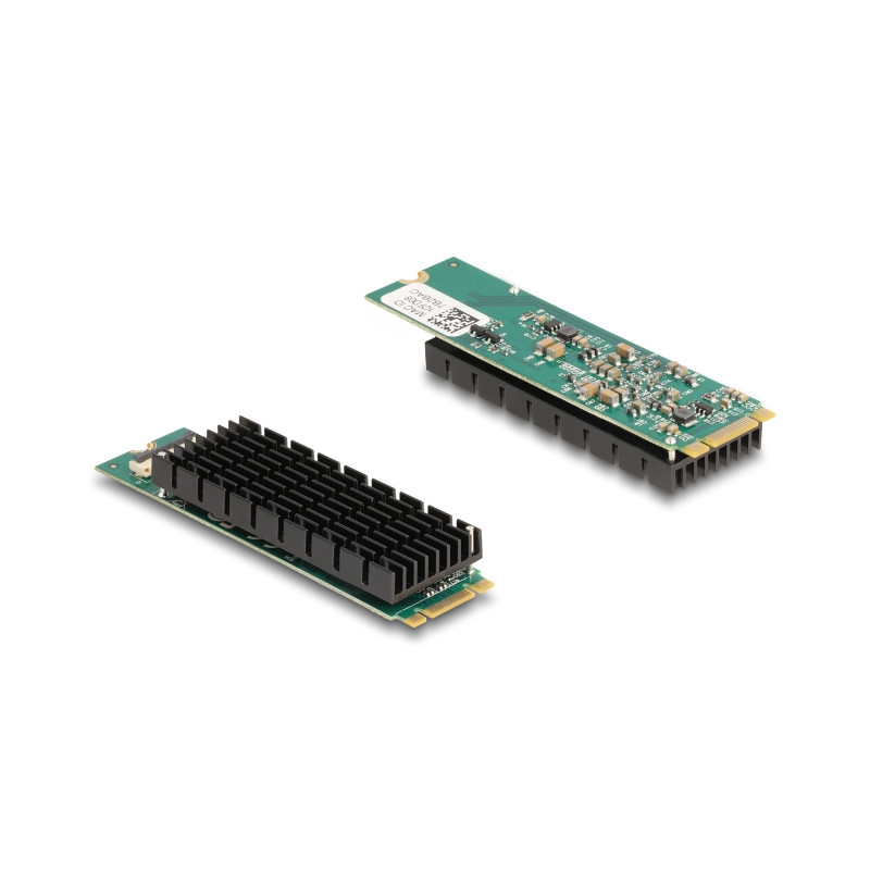 Delock M.2 Key B+M 1 x RJ45 10 Gigabit LAN Netzwerkkarte