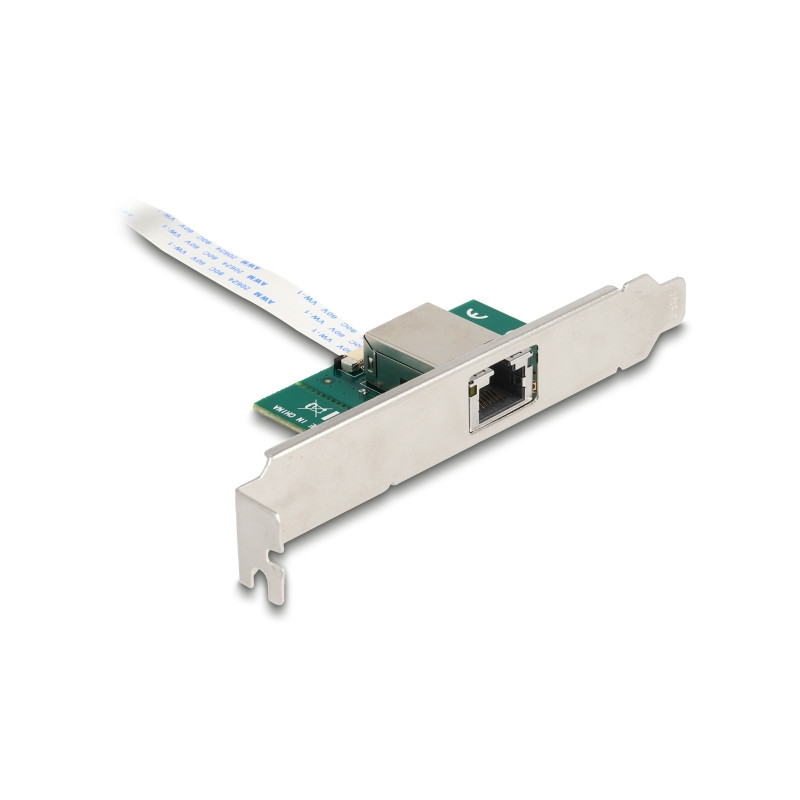 Delock M.2 Key B+M 1 x RJ45 10 Gigabit LAN Netzwerkkarte