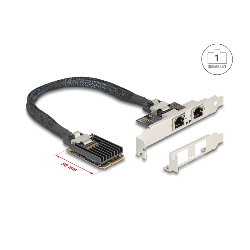 Delock Mini PCIe I/O PCIe full size 2 x RJ45 Gigabit LAN