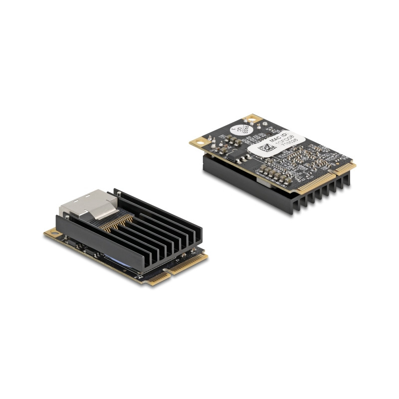 Delock Mini PCIe I/O PCIe full size 2 x RJ45 Gigabit LAN