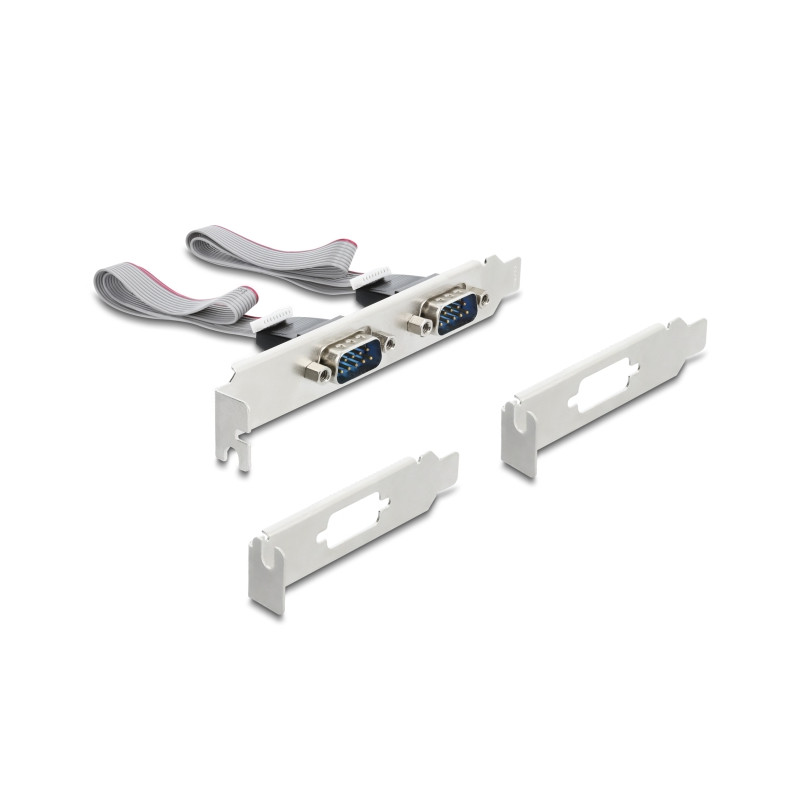 Delock M.2 Karte zu 2 x Seriell RS-232 DB9 mit Standard und Low Profile Slotblenden