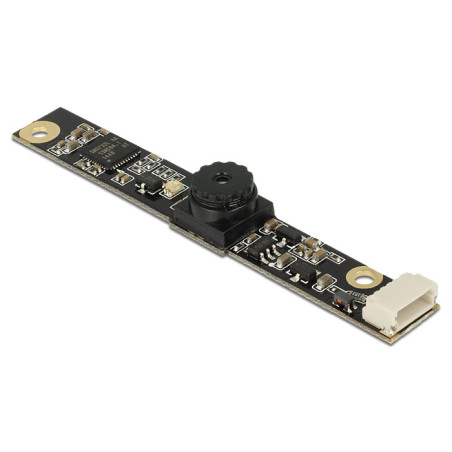 Delock USB 2.0 Kameramodul 5,04 Megapixel 48° V5 Fixfokus
