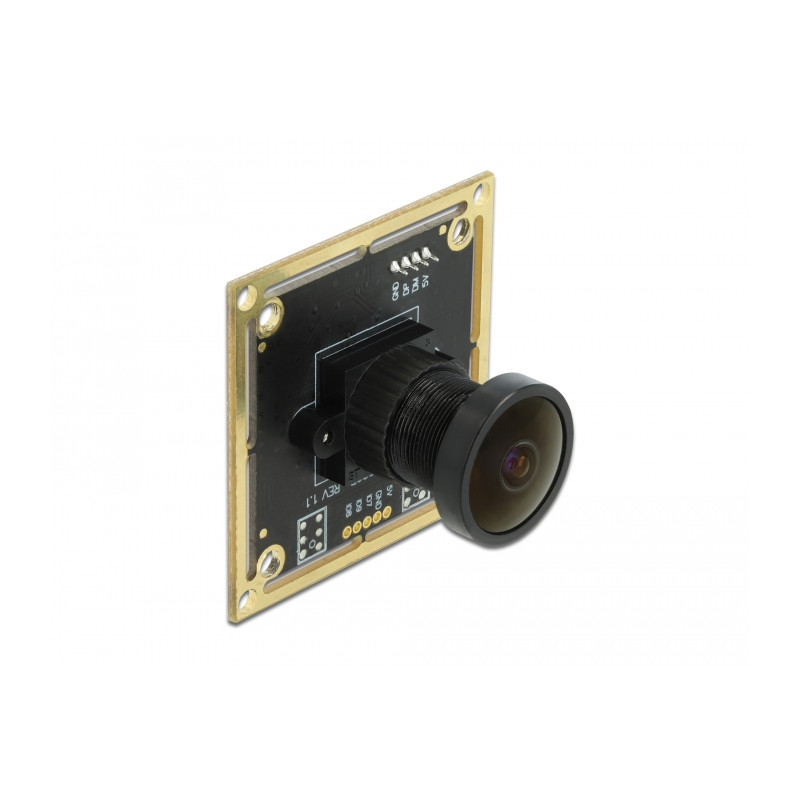 Delock USB 2.0 Kameramodul mit Wide Dynamic Range 1,92 Megapixel 120° V6 Fixfokus
