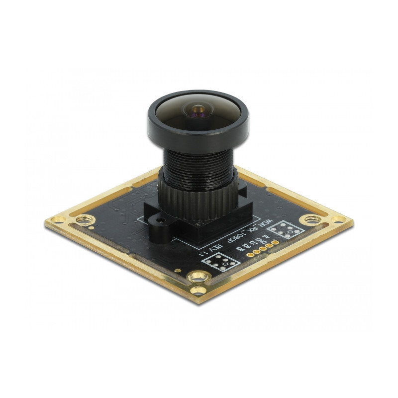 Delock USB 2.0 Kameramodul mit Wide Dynamic Range 1,92 Megapixel 120° V6 Fixfokus