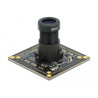 Delock USB 2.0 Kameramodul mit Global Shutter schwarz / weiß 0,92 Megapixel 36° V6 Fixfokus