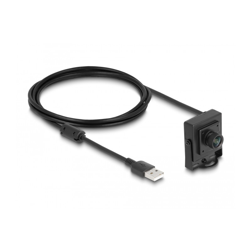 Delock USB 2.0 Kamera 2,1 Megapixel 100° Fixfokus