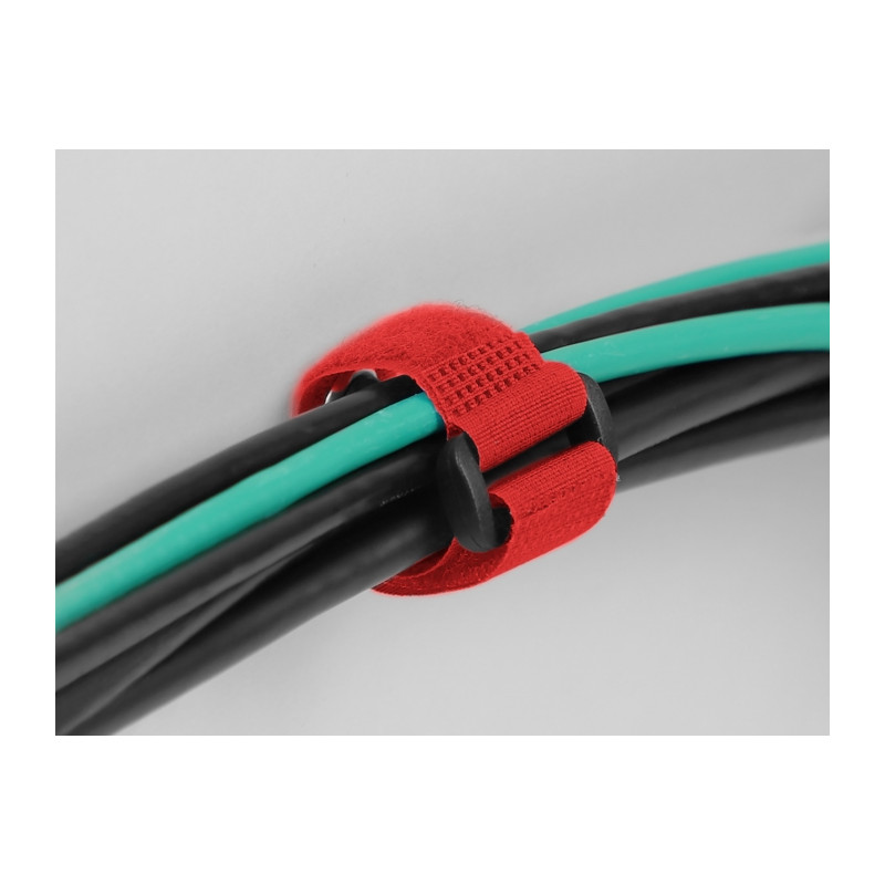 Delock Klett-Kabelbinder mit Schlaufe und Befestigungsöse L 280 x B 38 mm rot 3 Stück