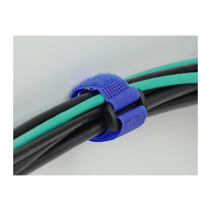 Delock Klett-Kabelbinder mit Schlaufe und Befestigungsöse L 280 x B 38 mm blau 3 Stück