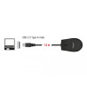 Delock Optische USB Desktop Maus – Lautlos