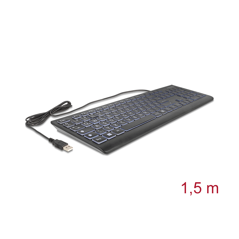 Delock USB Tastatur kabelgebunden 1,5 m schwarz mit XXL Buchstaben und Beleuchtung