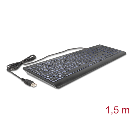 Delock USB Tastatur kabelgebunden 1,5 m schwarz mit XXL Buchstaben und Beleuchtung