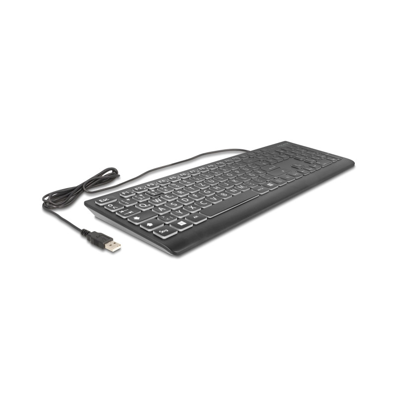 Delock USB Tastatur kabelgebunden 1,5 m schwarz mit XXL Buchstaben und Beleuchtung