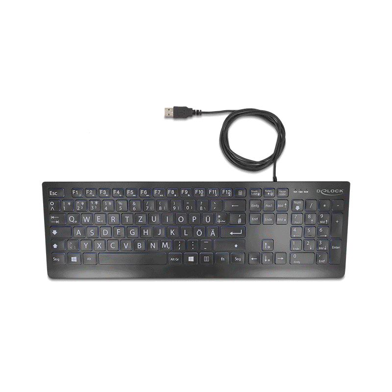Delock USB Tastatur kabelgebunden 1,5 m schwarz mit XXL Buchstaben und Beleuchtung