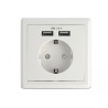 Delock Einbausteckdose mit 2 x USB Typ-A Ladeport 2,4 A