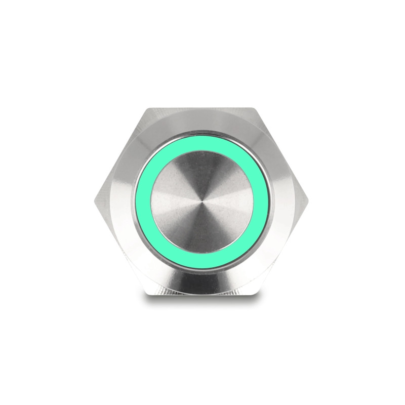 Delock Drucktaster zum Einbau 19 mm 4 x Schraubklemme LED tastend grün