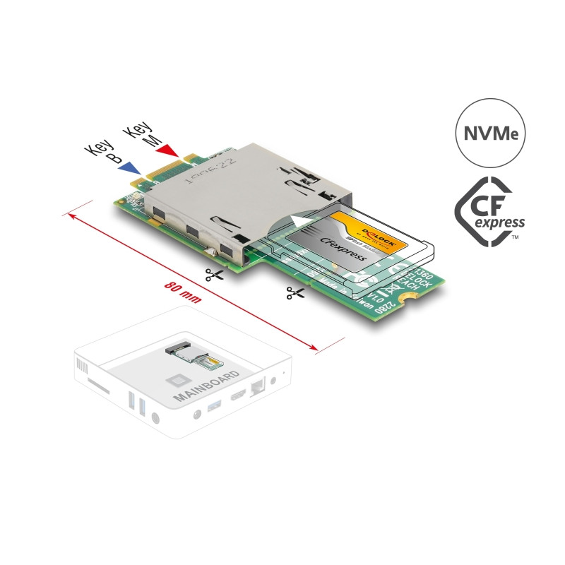 Delock Adapter M.2 Key B+M Stecker zu CFexpress Slot