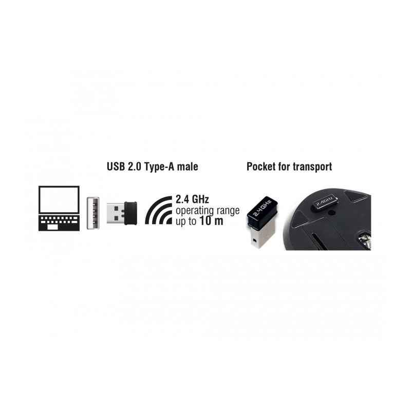 Delock Ergonomische optische 5-Tasten Maus 2,4 GHz kabellos