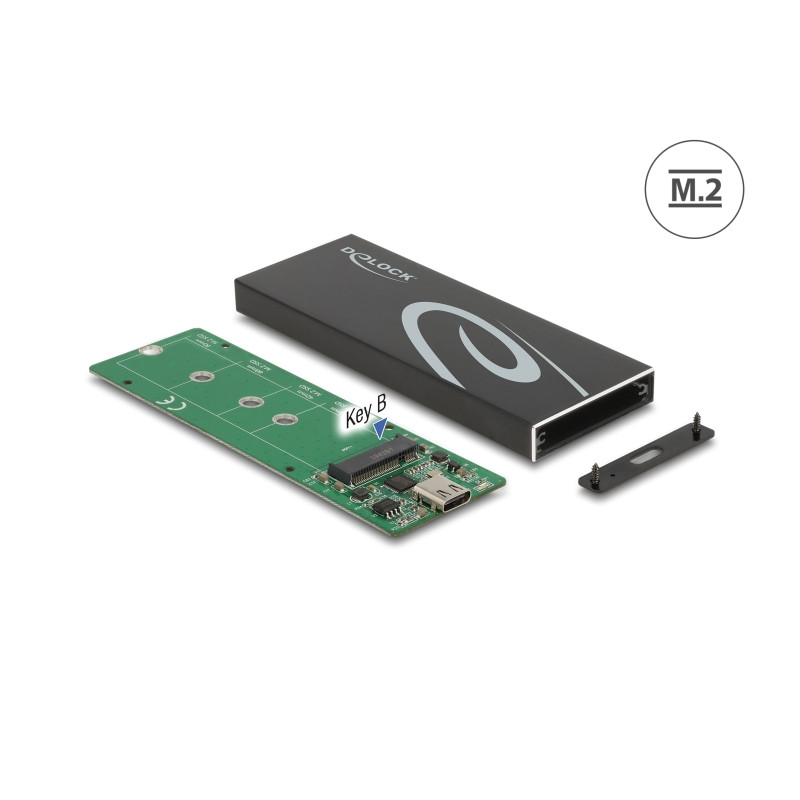Delock Externes Gehäuse für M.2 SATA SSD mit USB Type-C™ Buchse