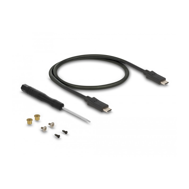 Delock Externes Gehäuse für M.2 SATA SSD mit USB Type-C™ Buchse