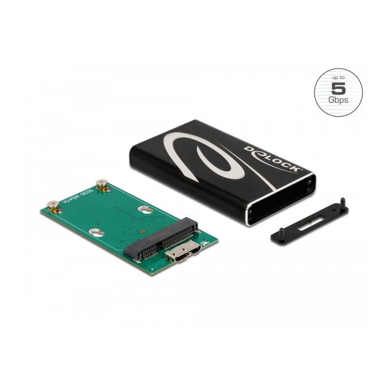 Delock Externes Gehäuse SuperSpeed USB für mSATA SSD