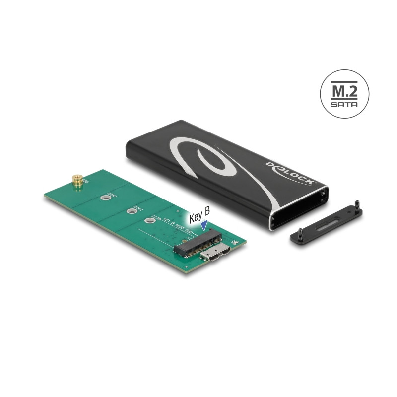 Delock Externes Gehäuse SuperSpeed USB für M.2 SATA SSD Key B