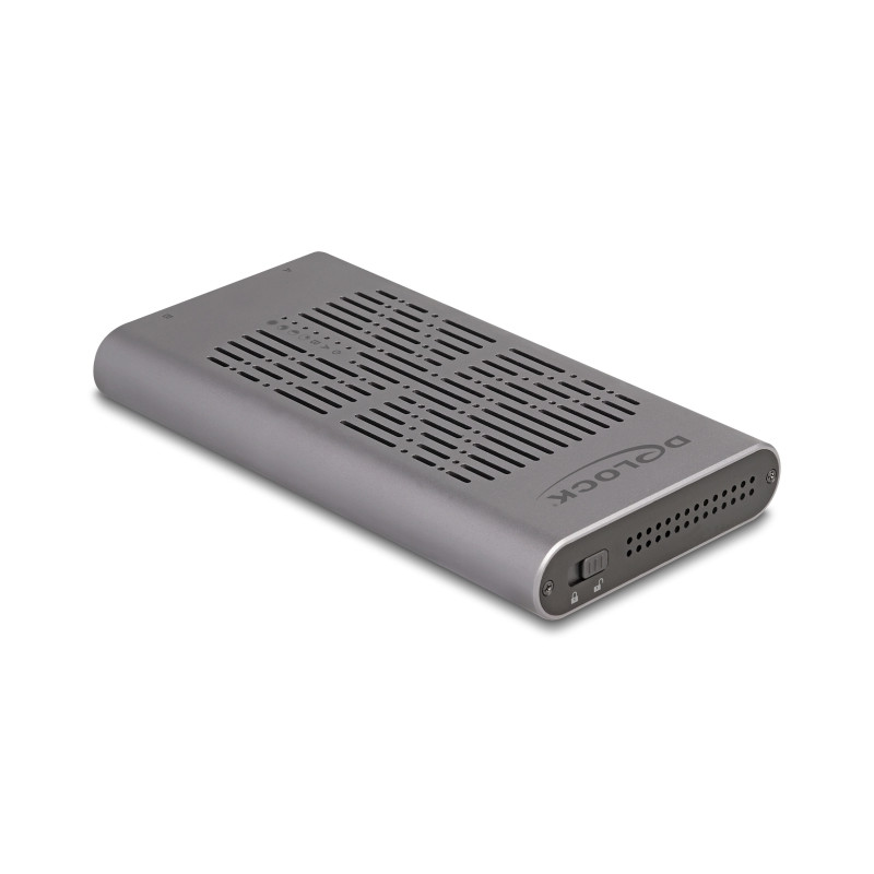 Delock Externes USB 20 Gbps Gehäuse für 2 x M.2 NVMe PCIe SSD mit USB Type-C™ Buchse und Klon Funktion