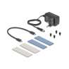 Delock Externes USB 20 Gbps Gehäuse für 2 x M.2 NVMe PCIe SSD mit USB Type-C™ Buchse und Klon Funktion