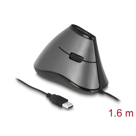 Delock Ergonomische optische 5-Tasten vertikal USB Maus