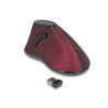 Delock Ergonomische vertikal optische 5-Tasten Maus 2,4 GHz kabellos