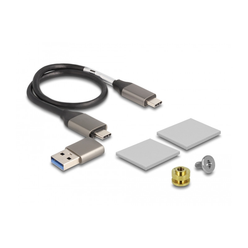 Delock Externes Gehäuse für M.2 NVMe PCIe SSD mit USB Type-C™ Buchse transparent