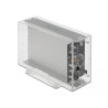 Delock Externes Dual Gehäuse für 2 x 3.5″ SATA HDD mit USB Type-C™ Buchse transparent - werkzeugfrei