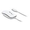 Delock Optische 4-Tasten USB Typ-A + USB Type-C™ Desktop Maus