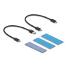 Delock Externes USB Type-C™ Combo Gehäuse für M.2 NVMe PCIe oder SATA SSD - werkzeugfrei
