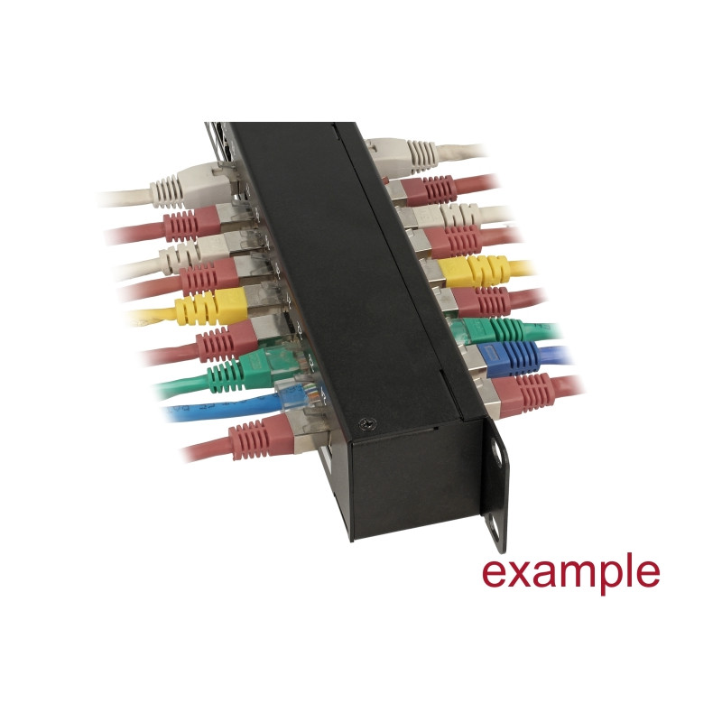 Delock 19″ Kupplungs-Patchpanel 24 Port Cat.6