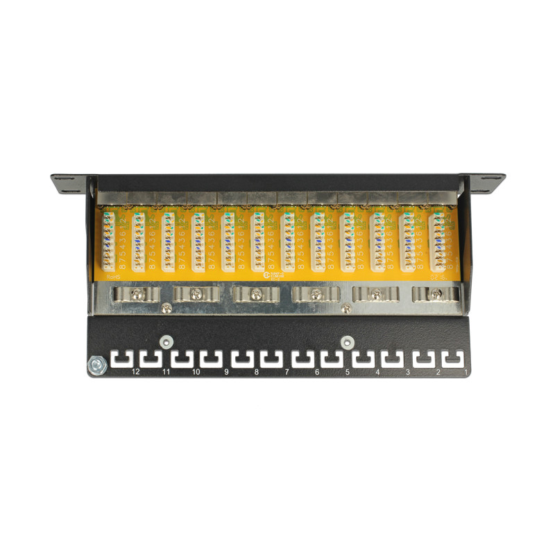 Delock 10″ Patchpanel 12 Port Cat.6 grau
