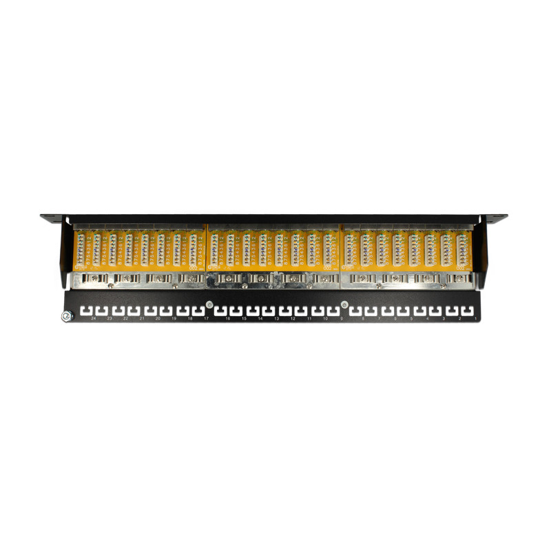 Delock 19″ Patchpanel 24 Port Cat.6 grau
