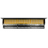 Delock 19″ Patchpanel 24 Port Cat.6 grau
