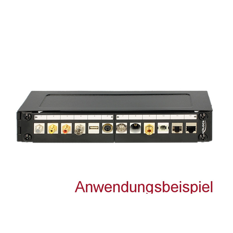 Delock 10″ Wandhalterung 1 HE