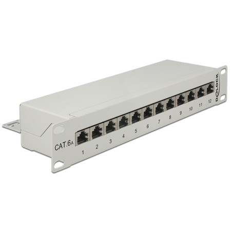 Delock 10″ Patchpanel 12 Port Cat.6A grau