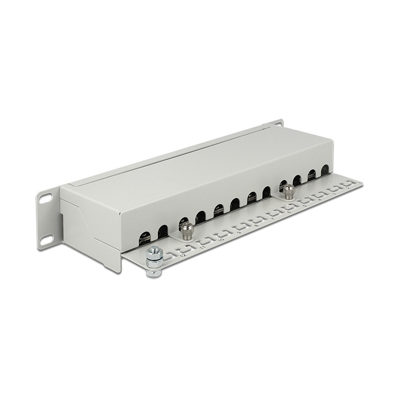 Delock 10″ Patchpanel 12 Port Cat.6A grau
