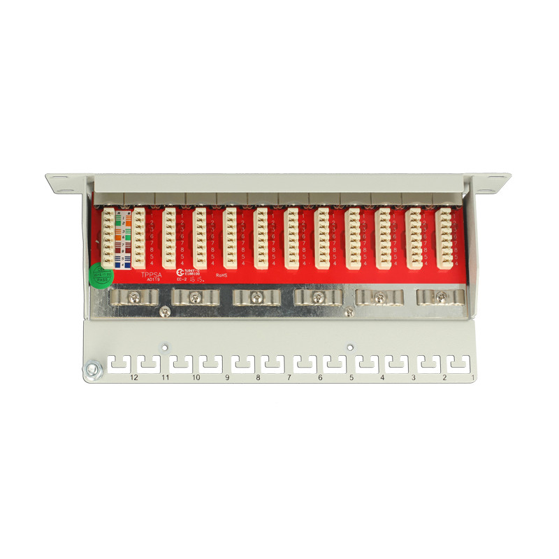 Delock 10″ Patchpanel 12 Port Cat.6A grau