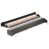 Delock 19″ Patchpanel 24 Port Cat.6A schwarz