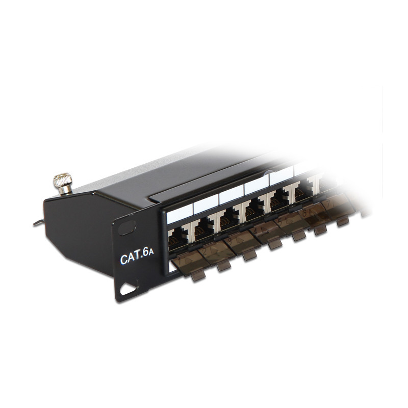 Delock 19″ Patchpanel 24 Port Cat.6A schwarz