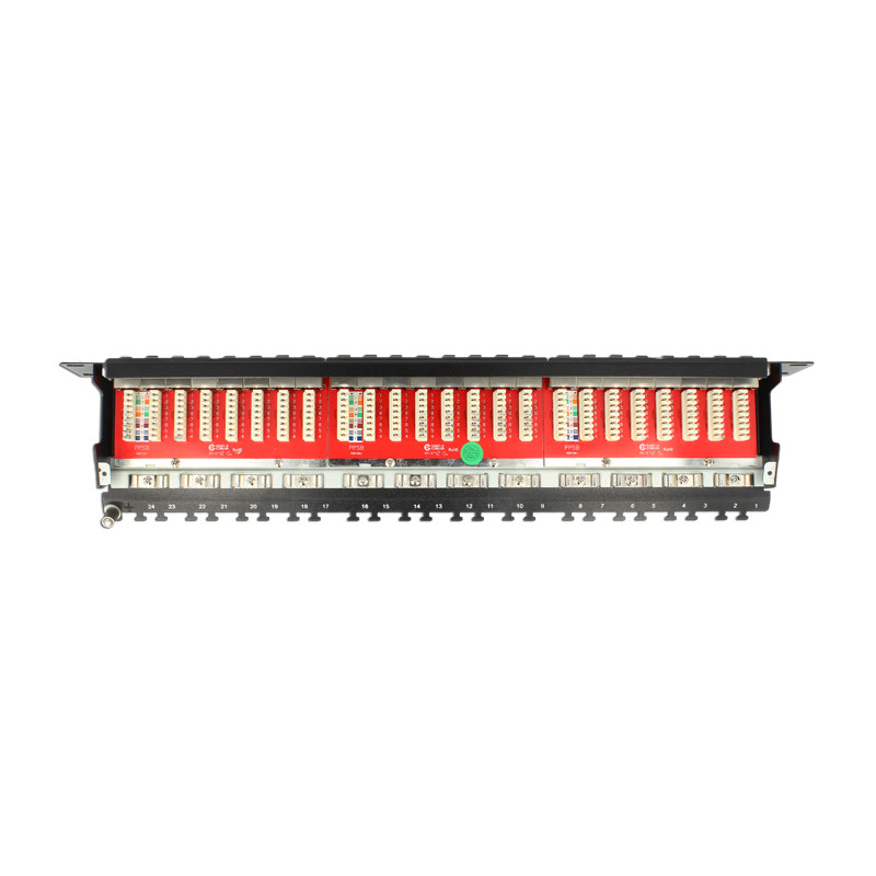 Delock 19″ Patchpanel 24 Port Cat.6A schwarz
