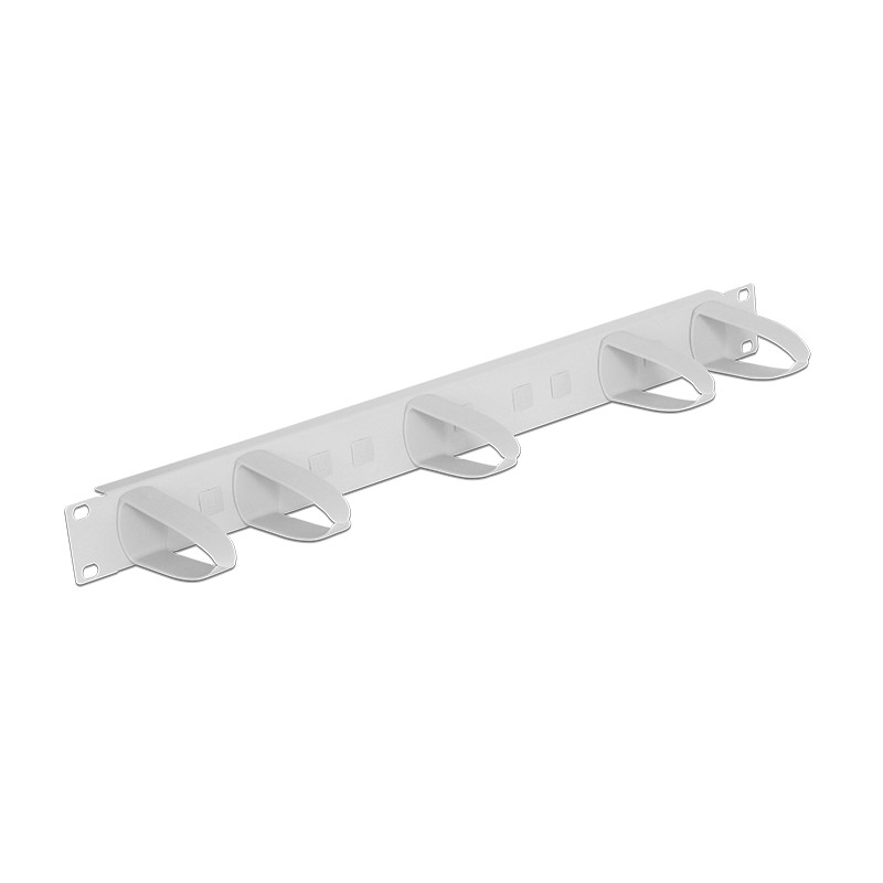 Delock 19″ Kabelmanagement Panel universal grau
