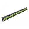 Delock 19″ LWL Spleißbox Frontblende 24 Port SC Simplex lindgrün